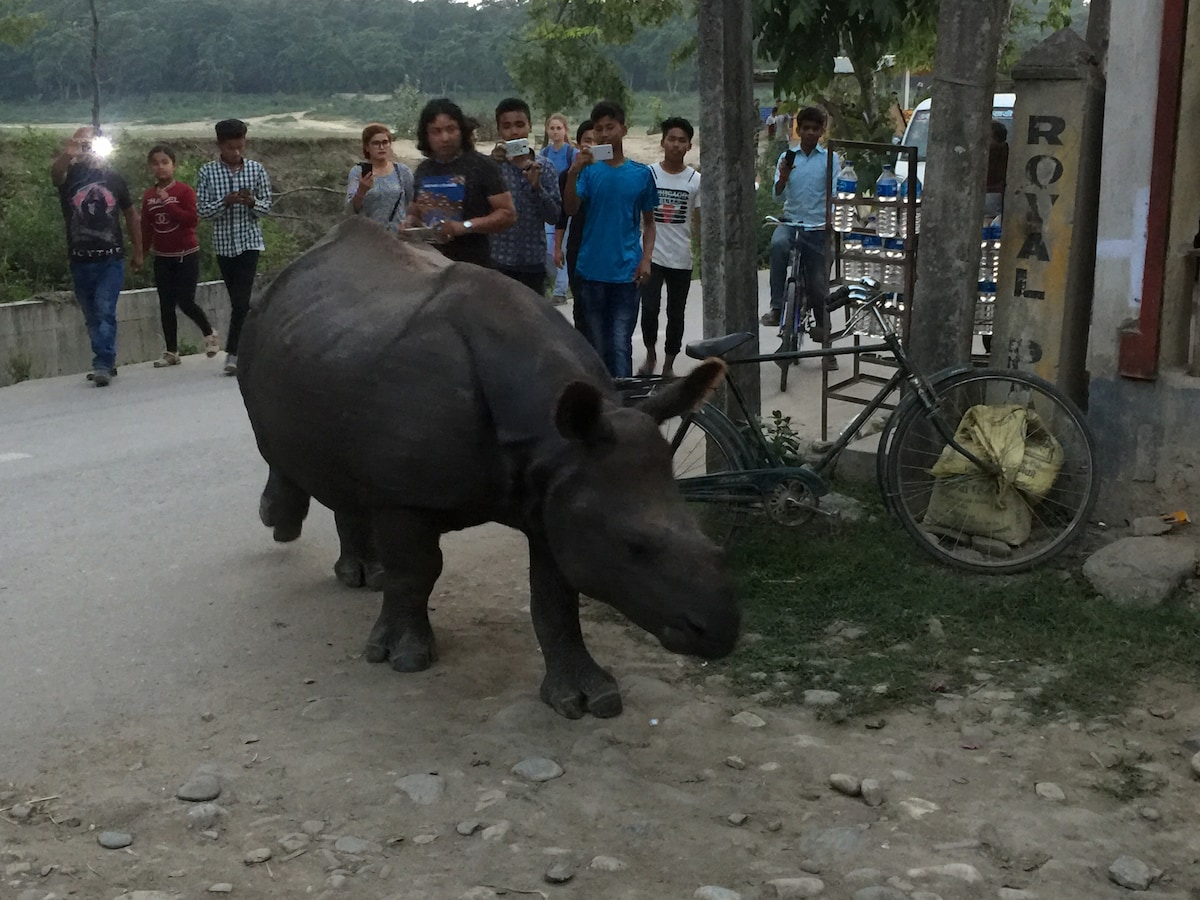 Chautari Garden Resort" Wonder garden of Paradise" — photo