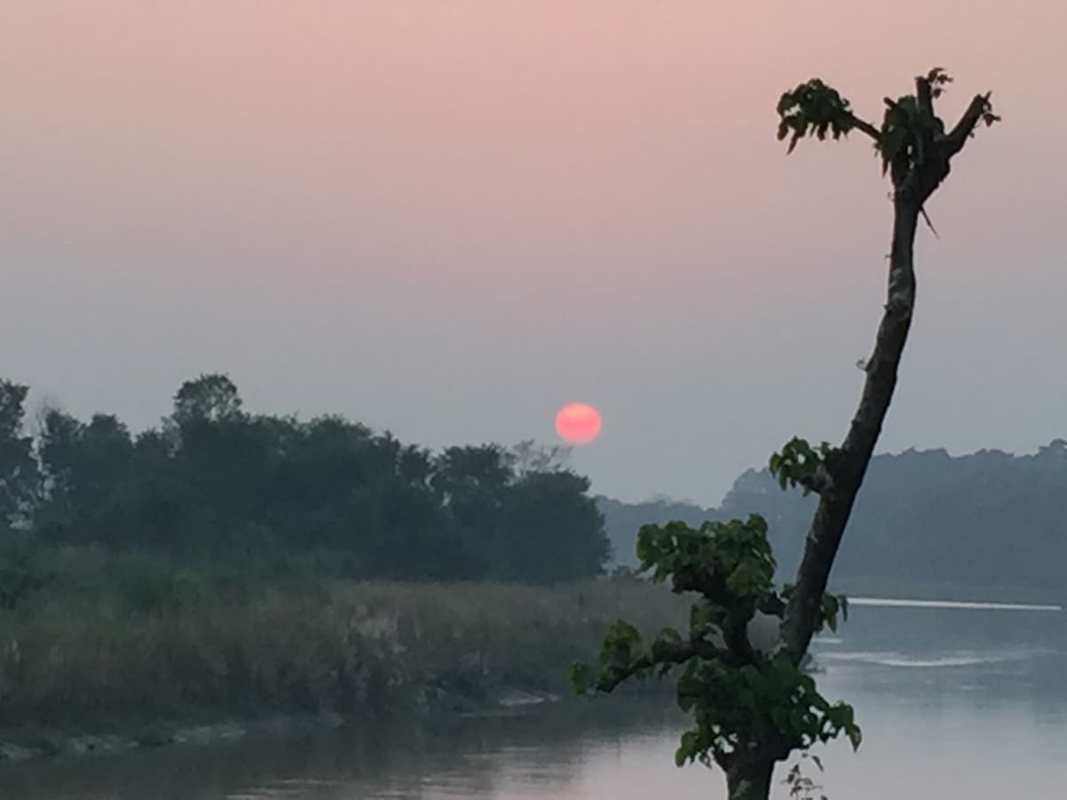 Near by the river and national park — photo