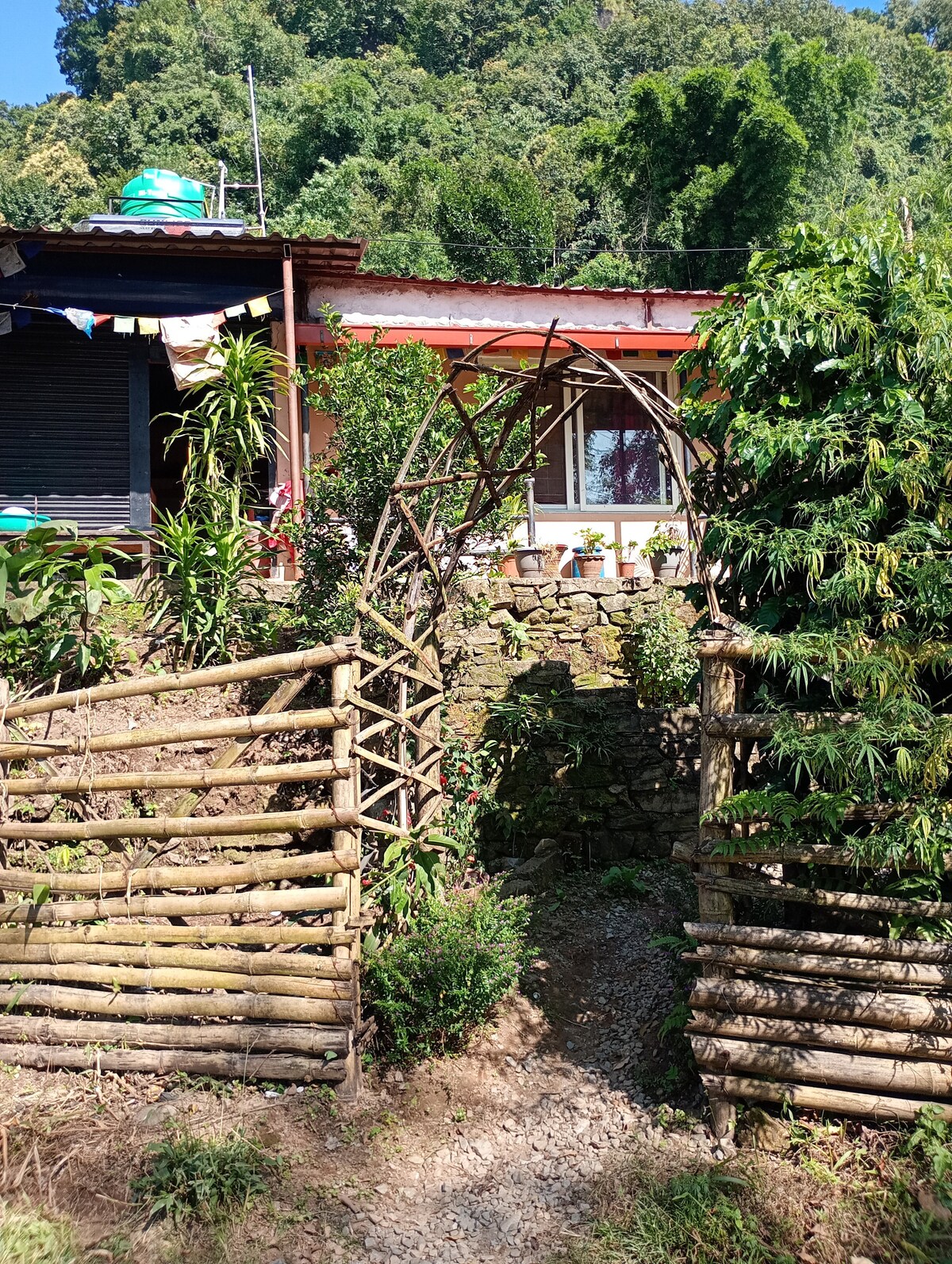 Lake Lovers Homestay Pokhara: amazing view & food — photo