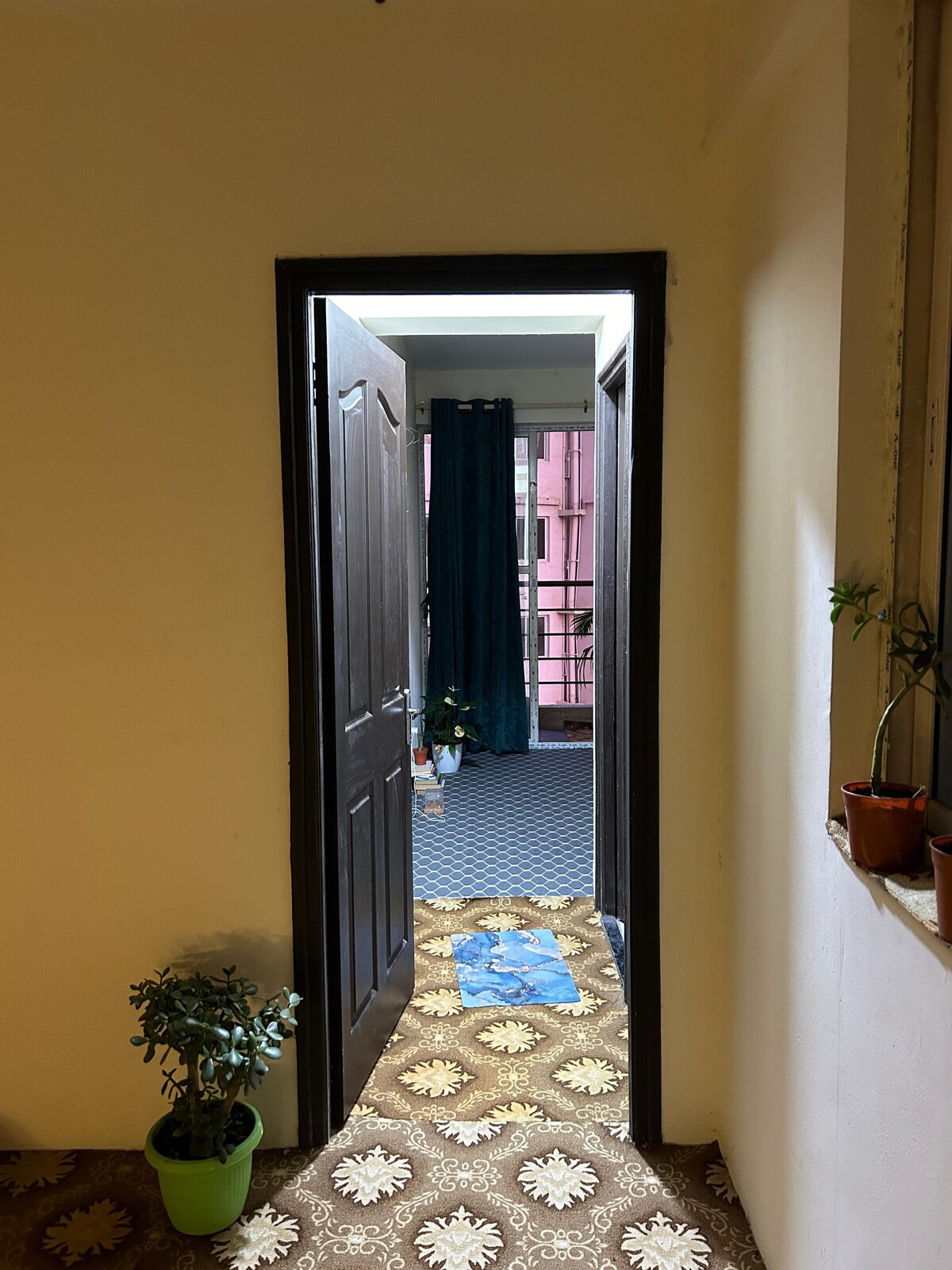 Peaceful and meditative — photo