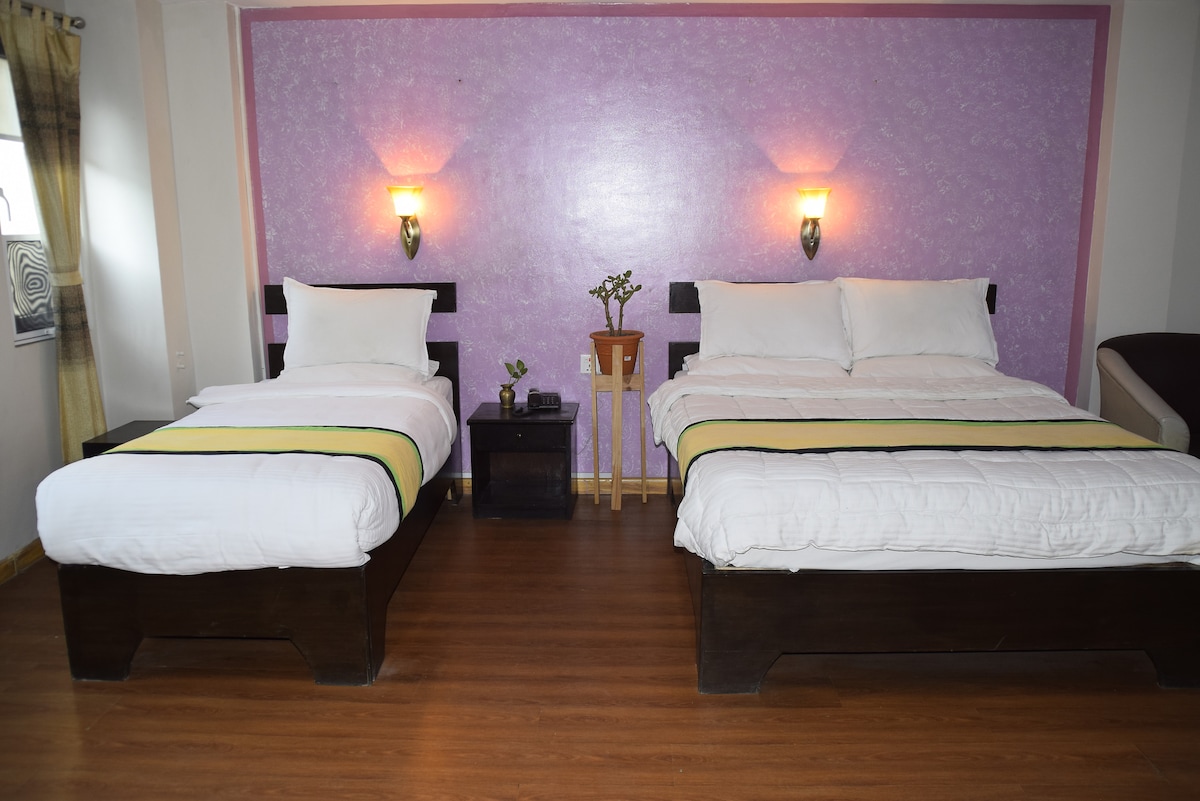 Spacious studio apt. (panoramic view, clean. green — photo