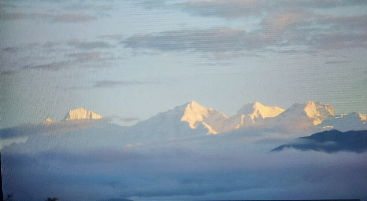 Light House Haven — photo