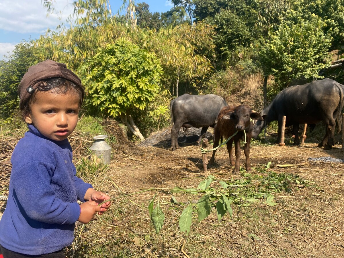 Tranquility Inn — photo