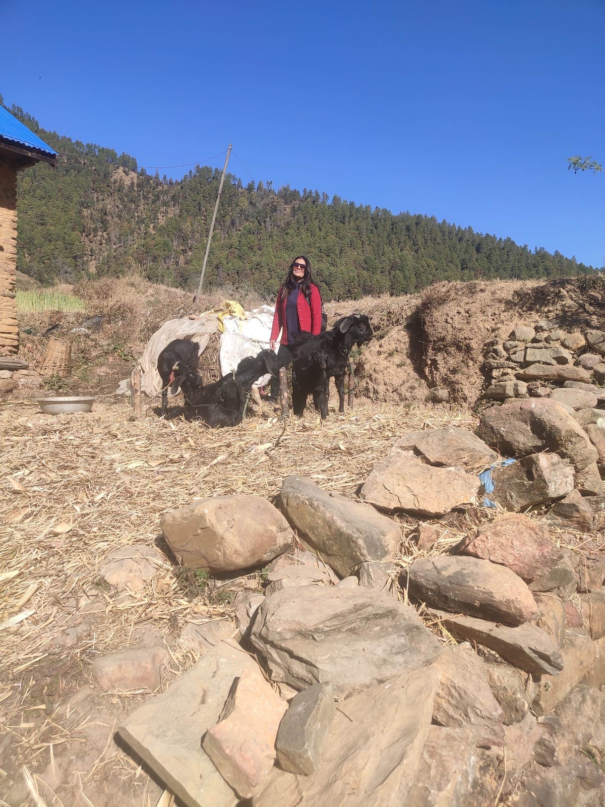 Double bed
Asian,veg breakfast — photo