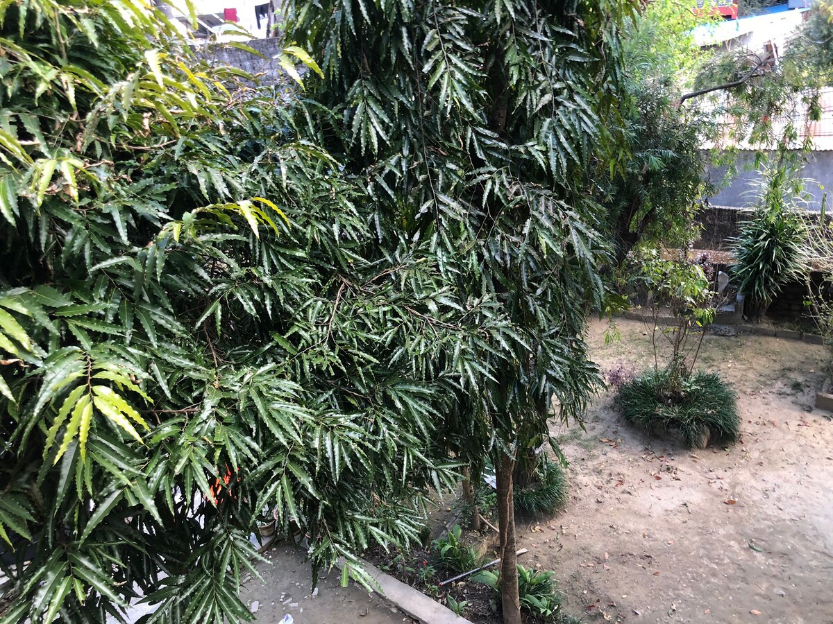 Cozy room for vacation with friendly environment