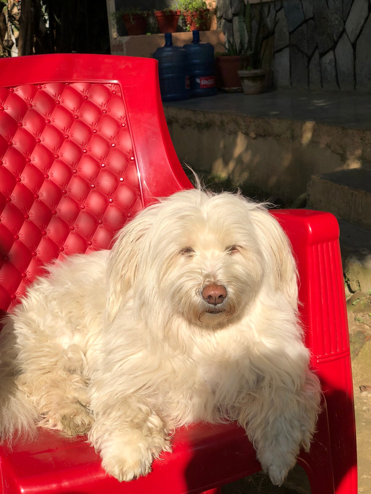 Cozy room for vacation with friendly environment — photo