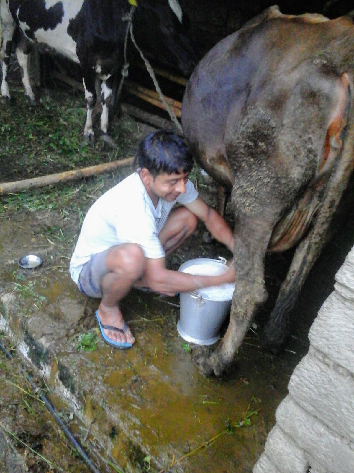 Local family local experience — photo