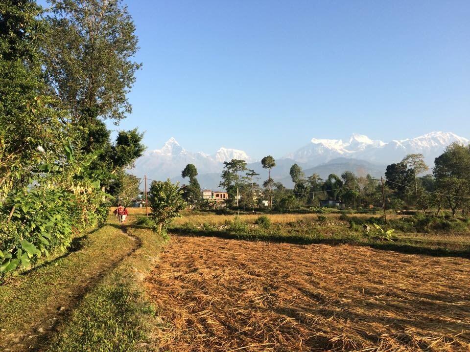 Global Agritourism Pvt.Ltd — photo