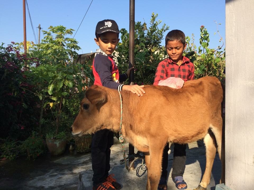 Global Agritourism Pvt.Ltd — photo