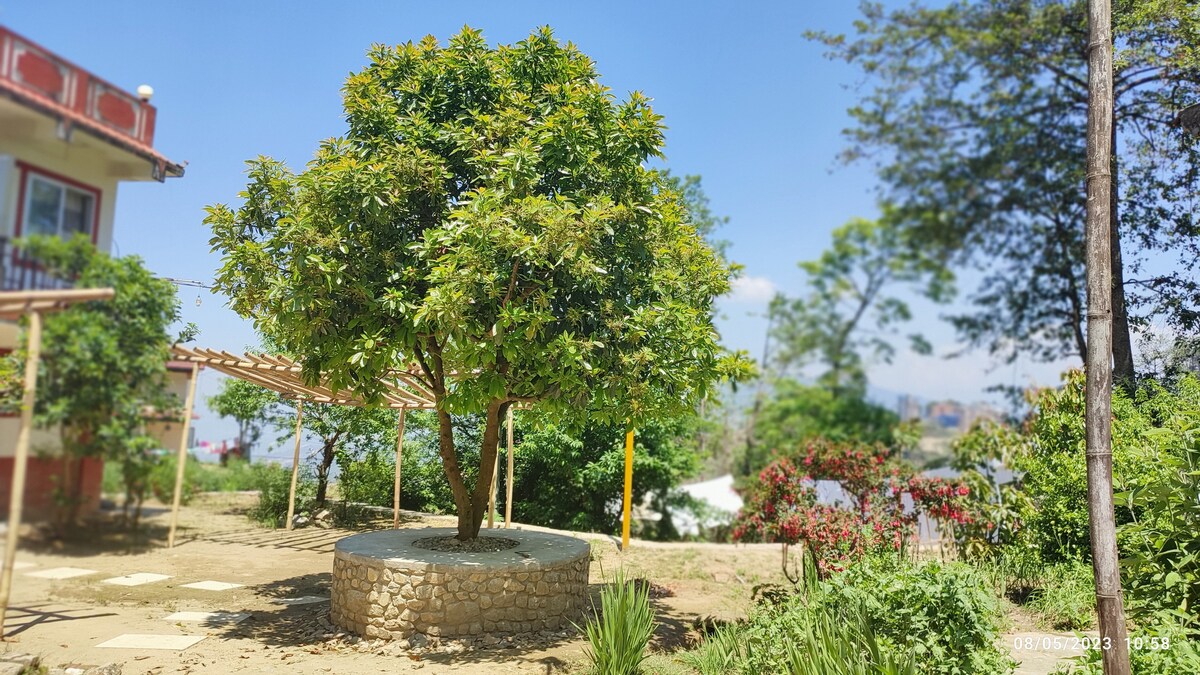Serene Garden View Room — photo