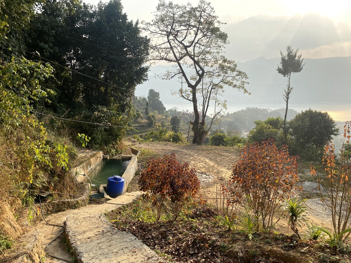 Into the wild — photo