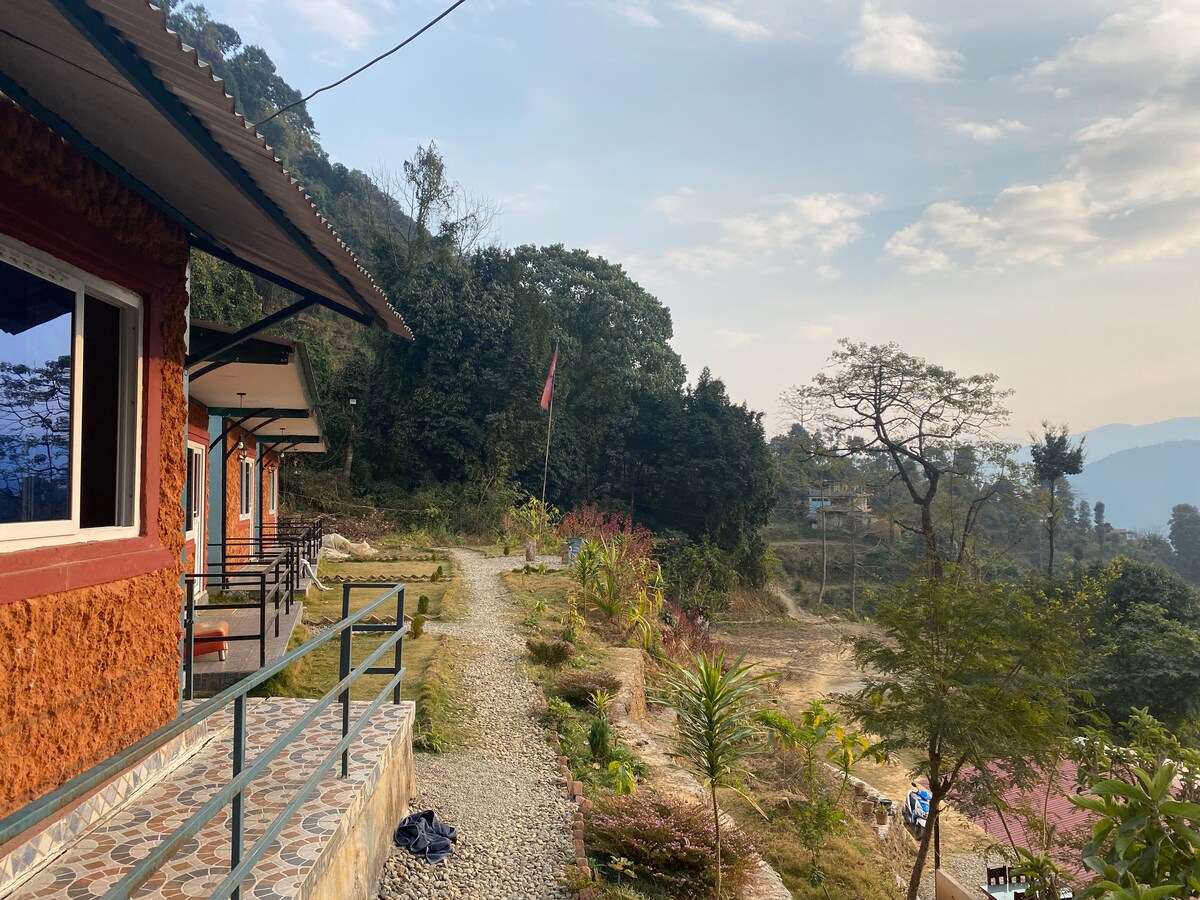 Into the wild — photo