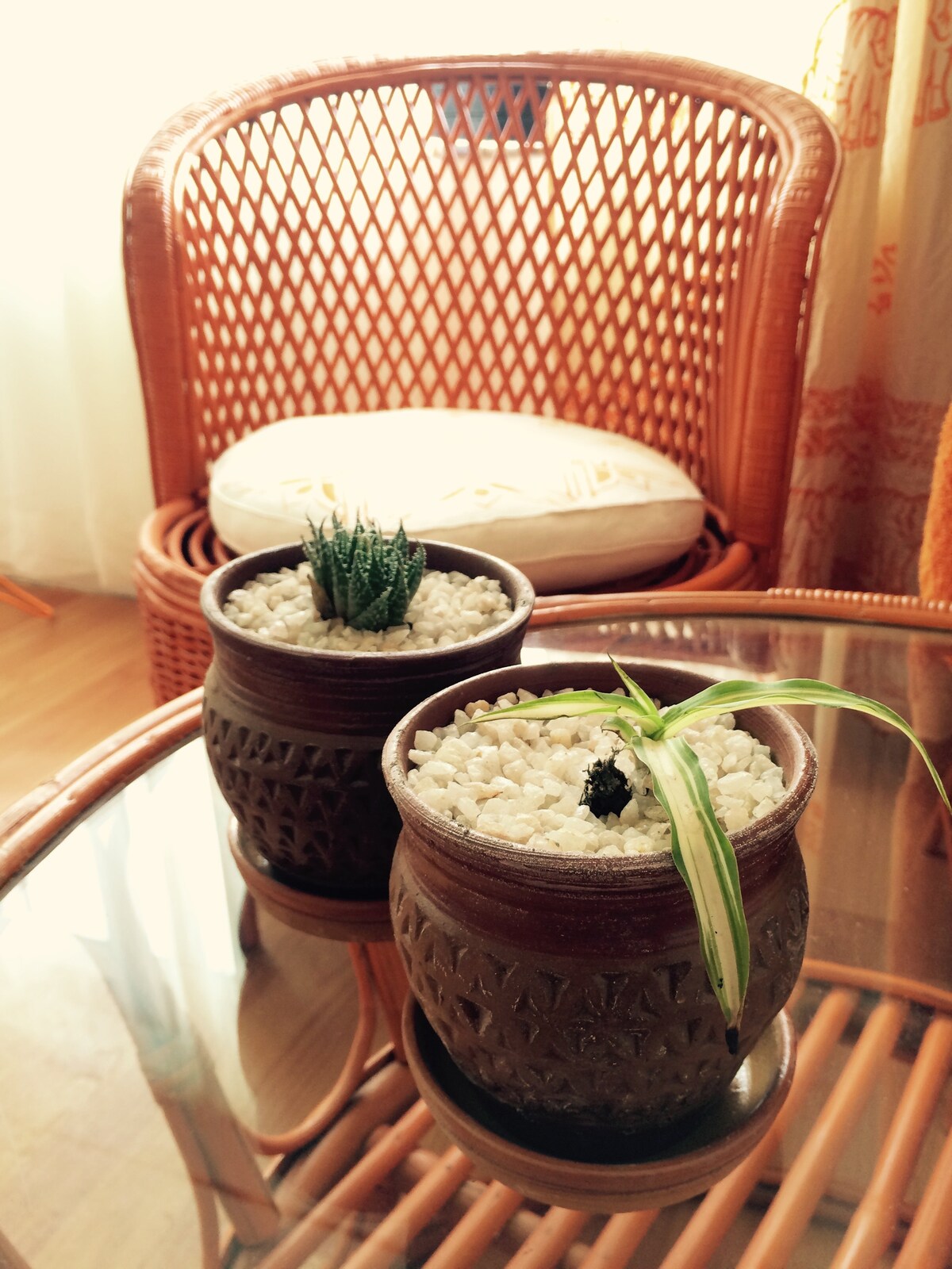 Cozy Studio apartment next to woods (with garden) — photo