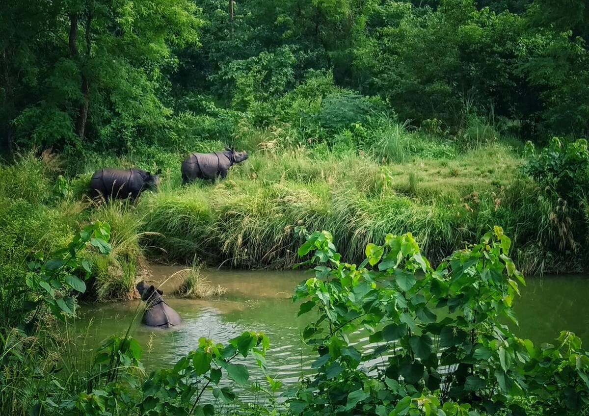 Chudaraj House — photo