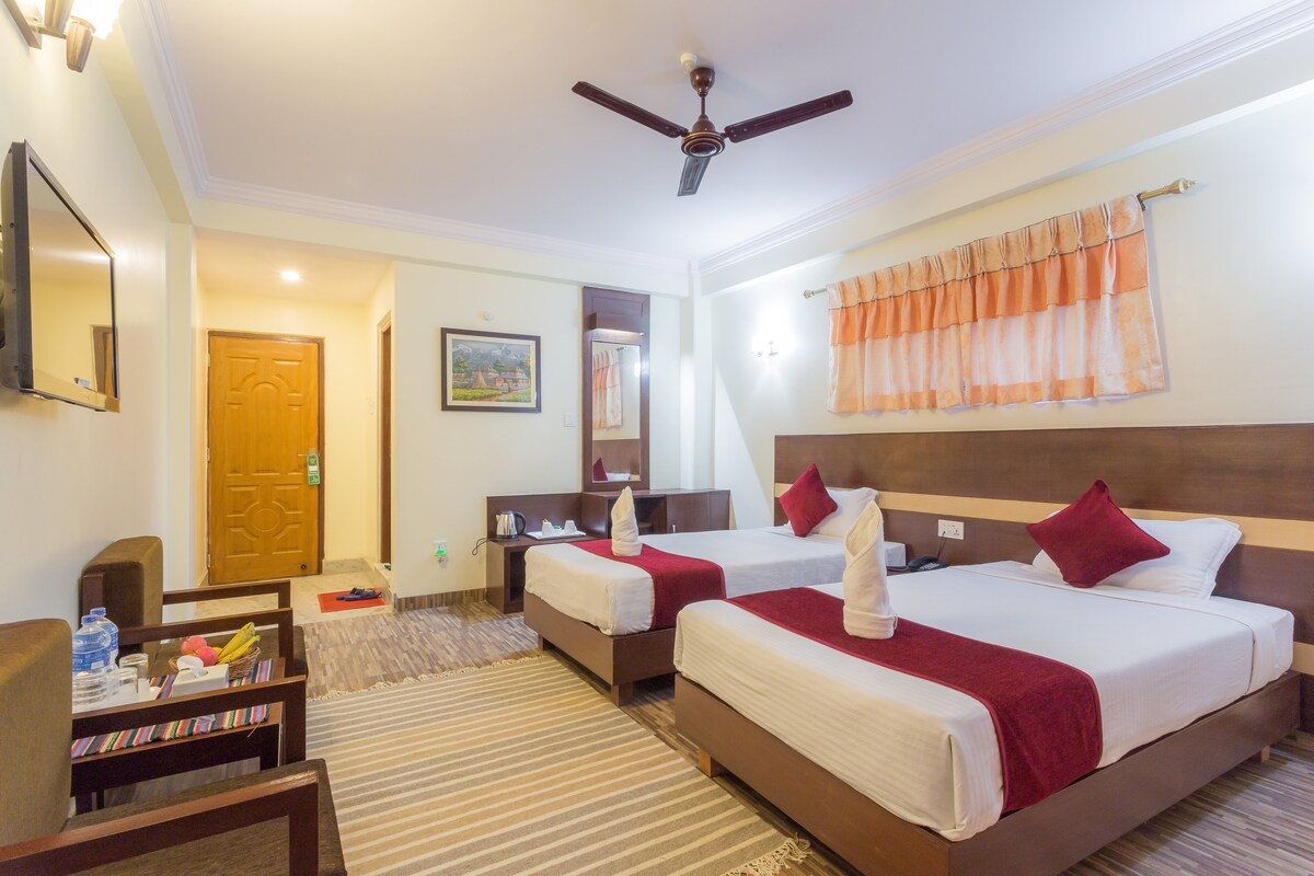 Deluxe twin 1 — photo