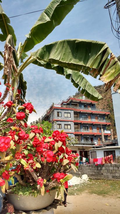 North Star guesthouse , Dhikopatan  lakeside — photo