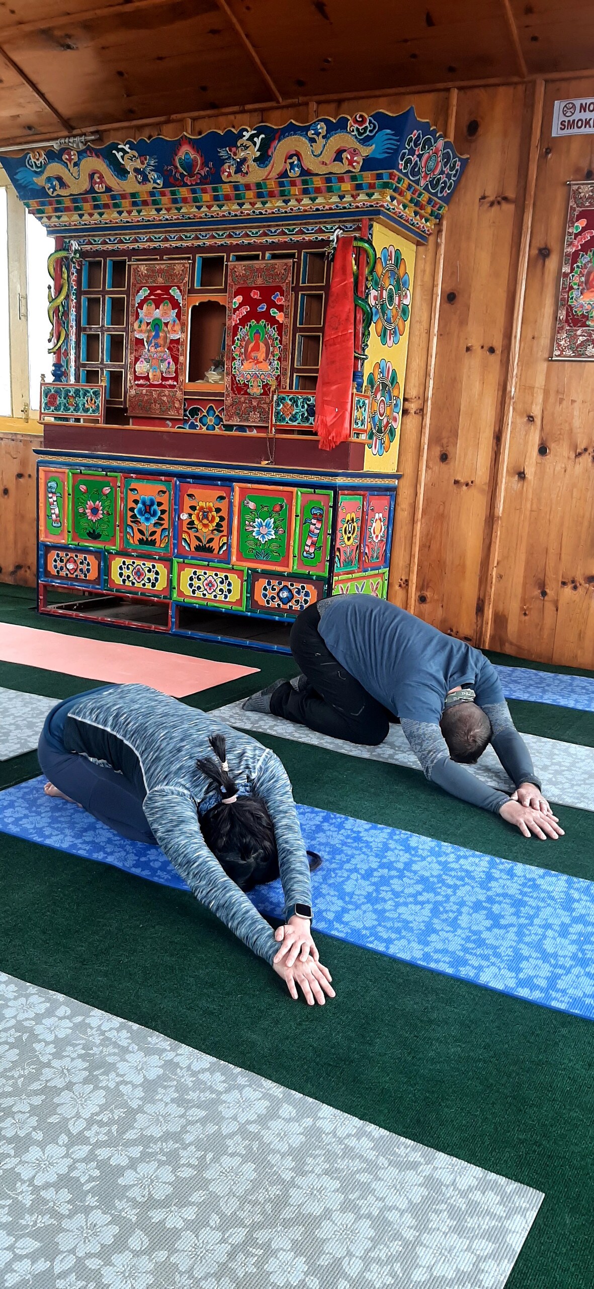 360 degree panoramic view of the Mountains. — photo