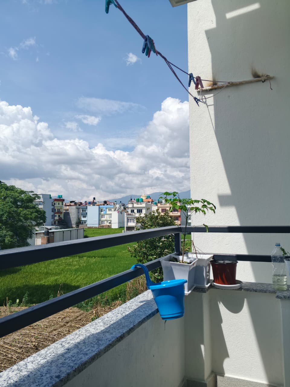 The Green Escape. — photo