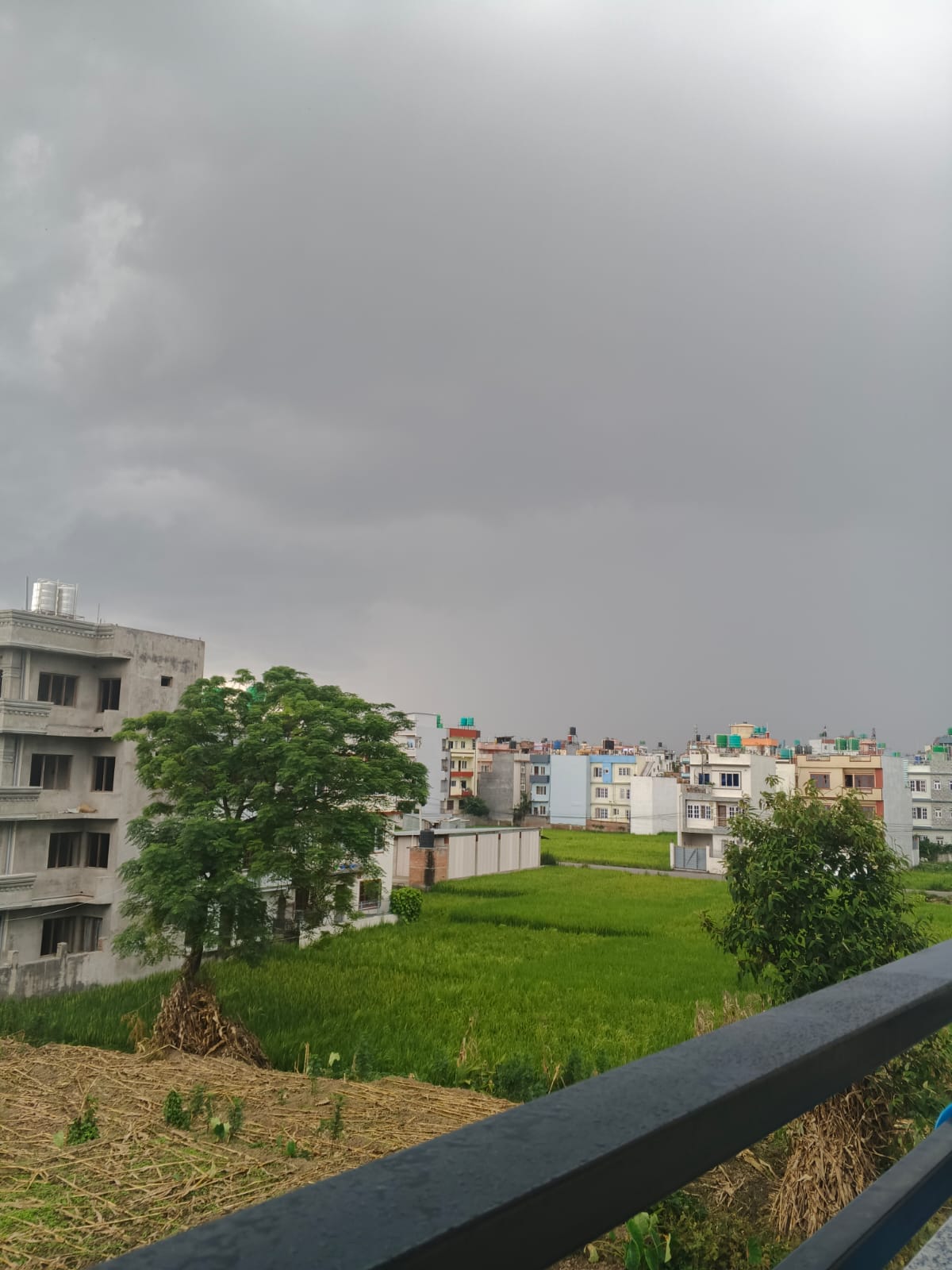 The Green Escape. — photo