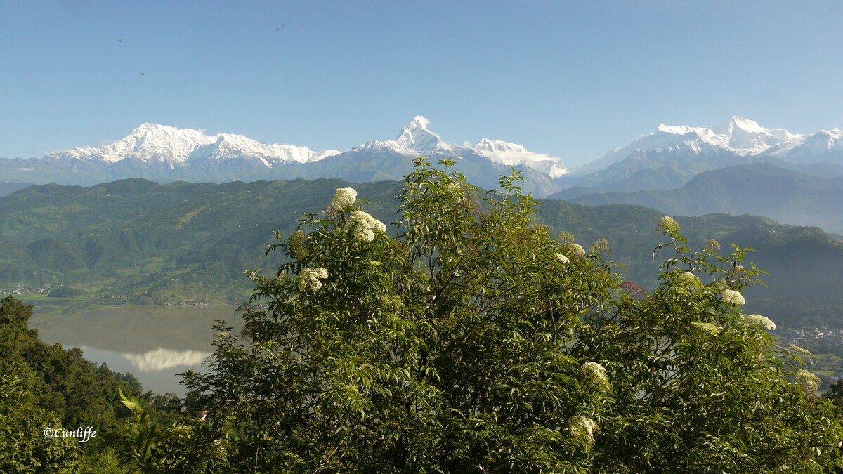 Peace Dragon Lodge. Double bed. Mountain views. — photo