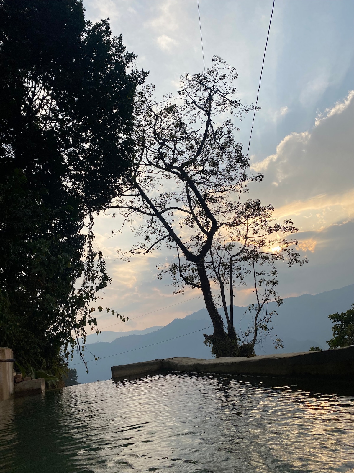 Into the wild — photo