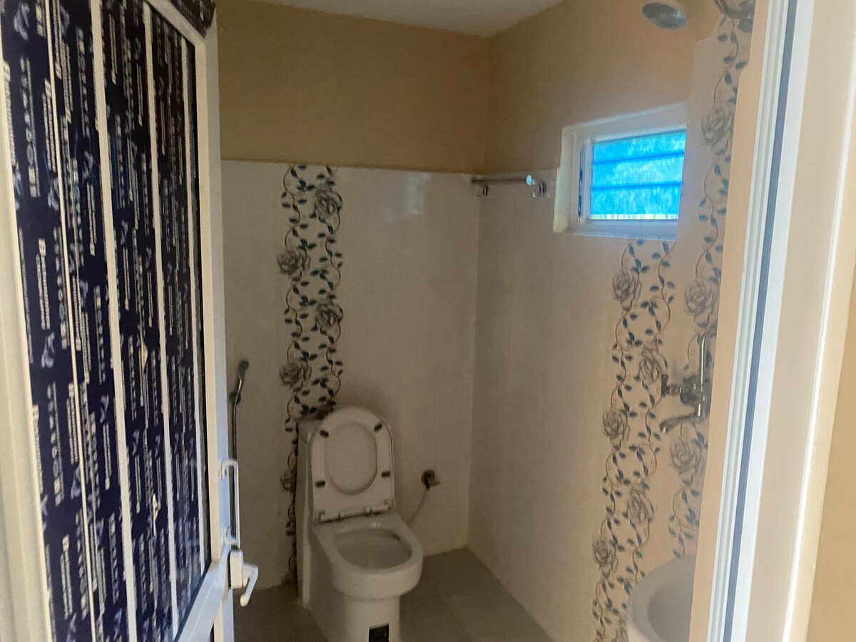 Into the wild — photo