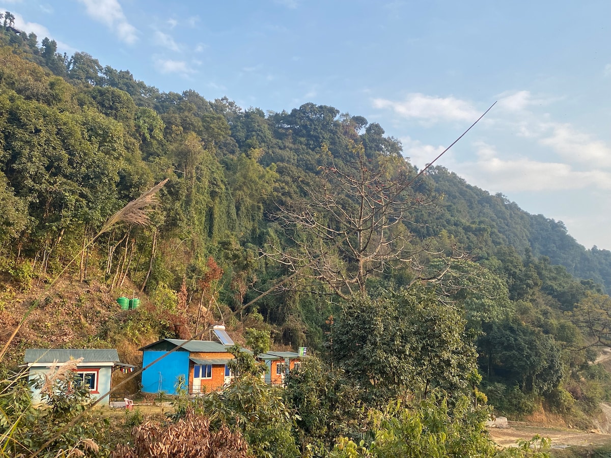 Into the wild — photo