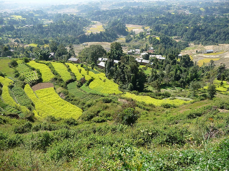 Village Homestay near Bhaktapur — photo