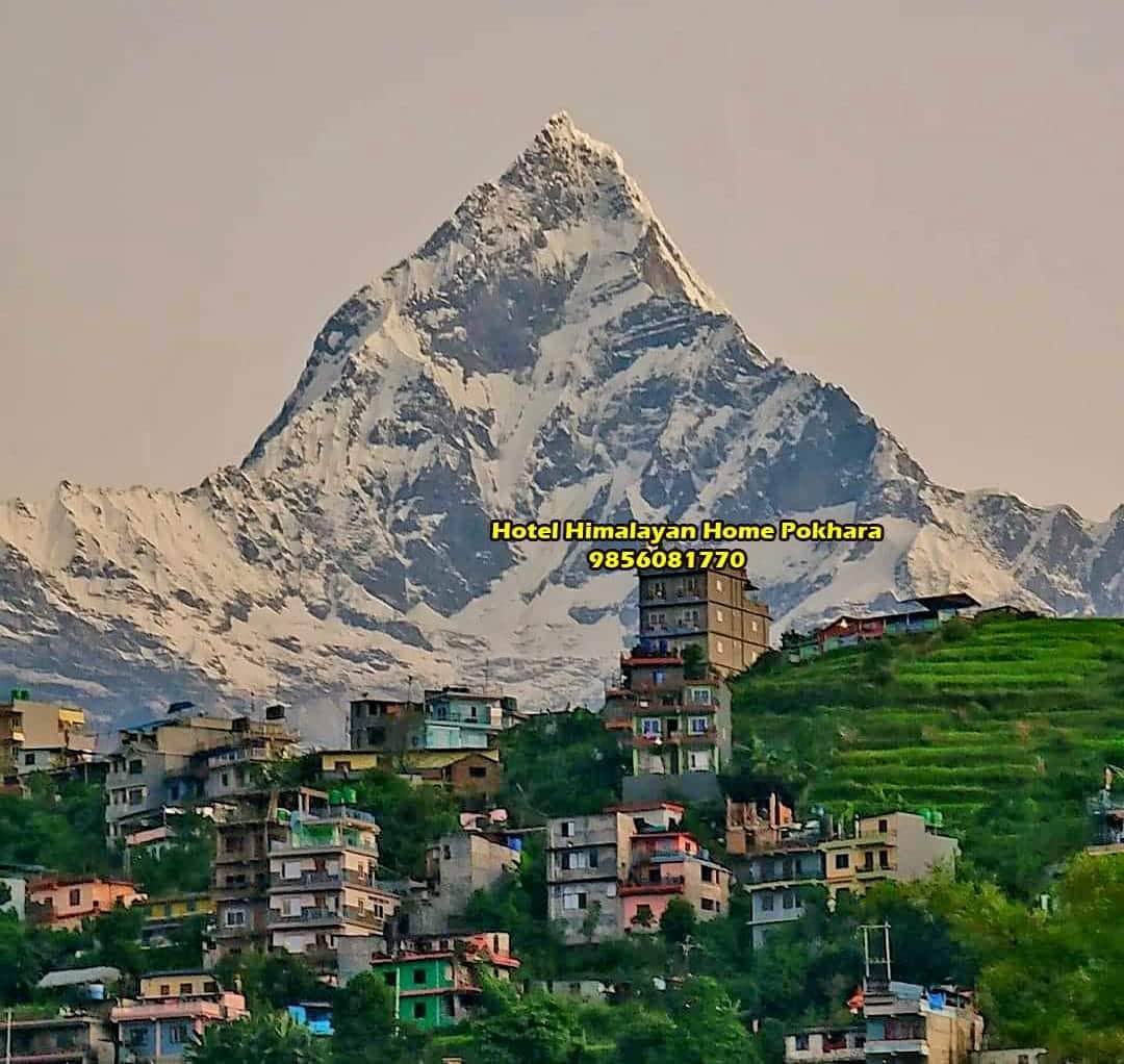 room in Pokhara Mountain, valley and  forest view — photo