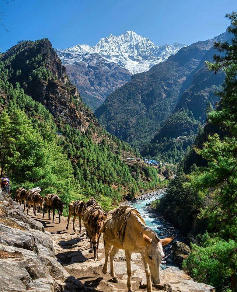 Nagarjun Apartment — photo