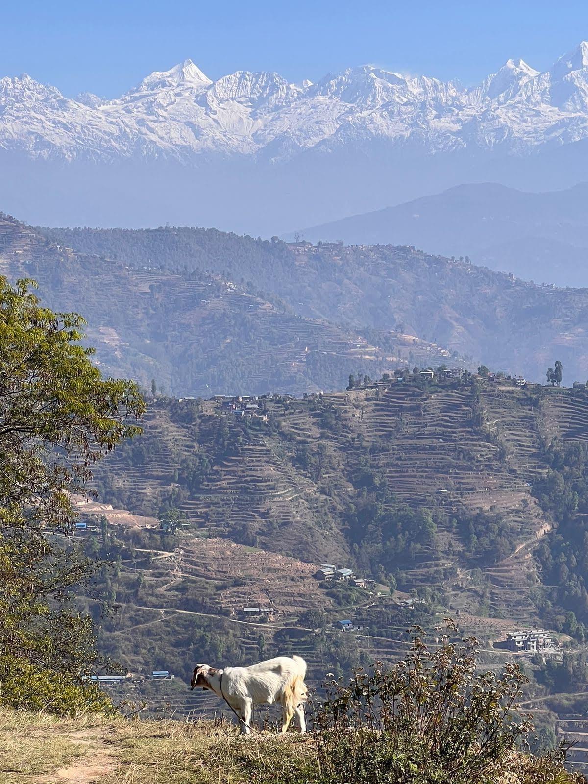 The Nirvana Inn — photo