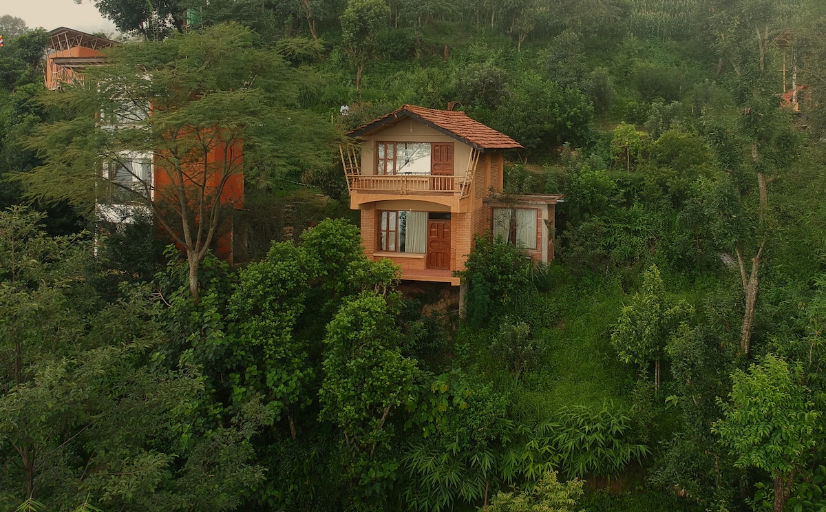 Venuvana : the Swallow's nest