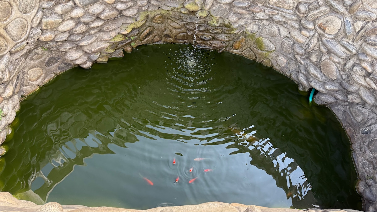 Shelsmantak Batik — photo