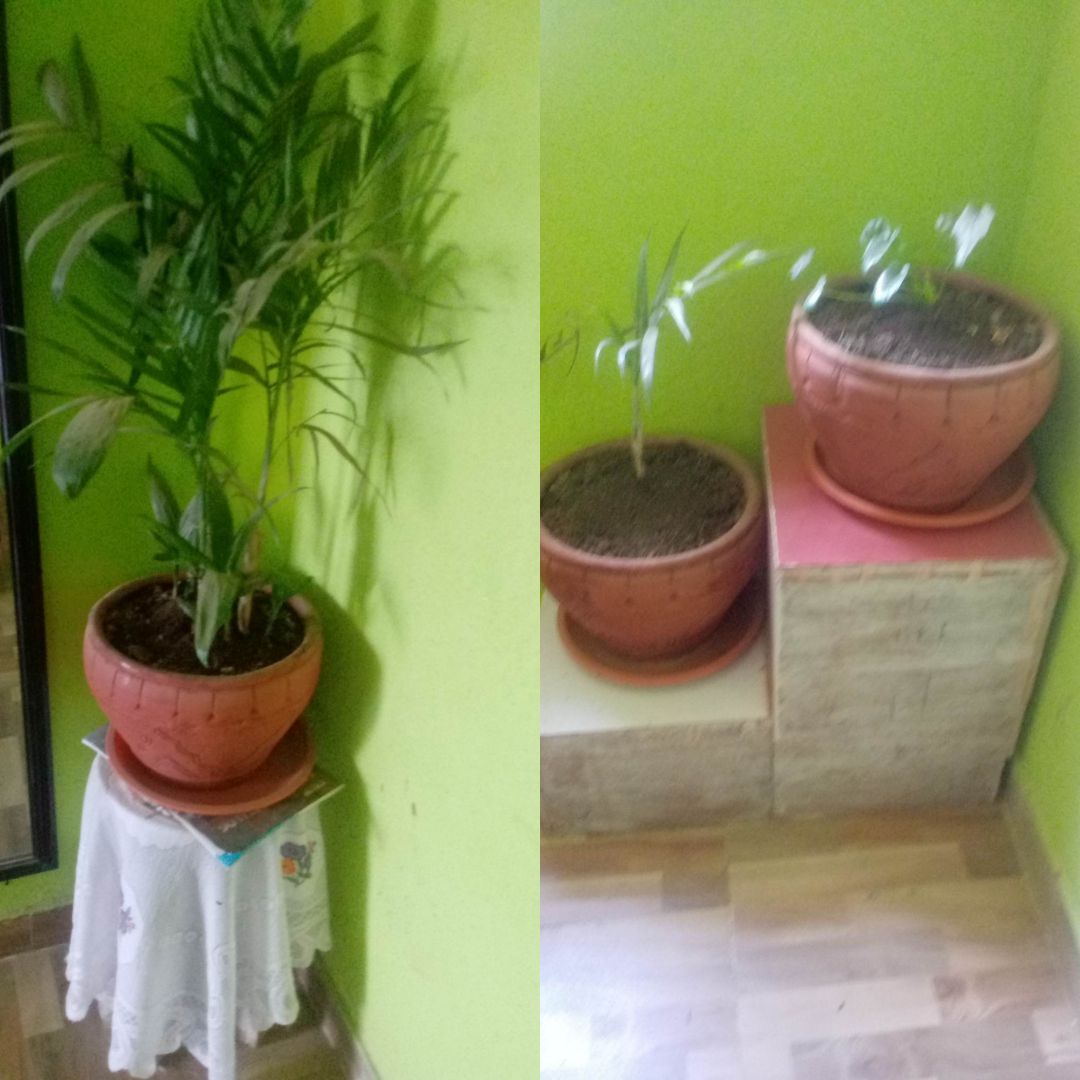 House with an amazing view. — photo