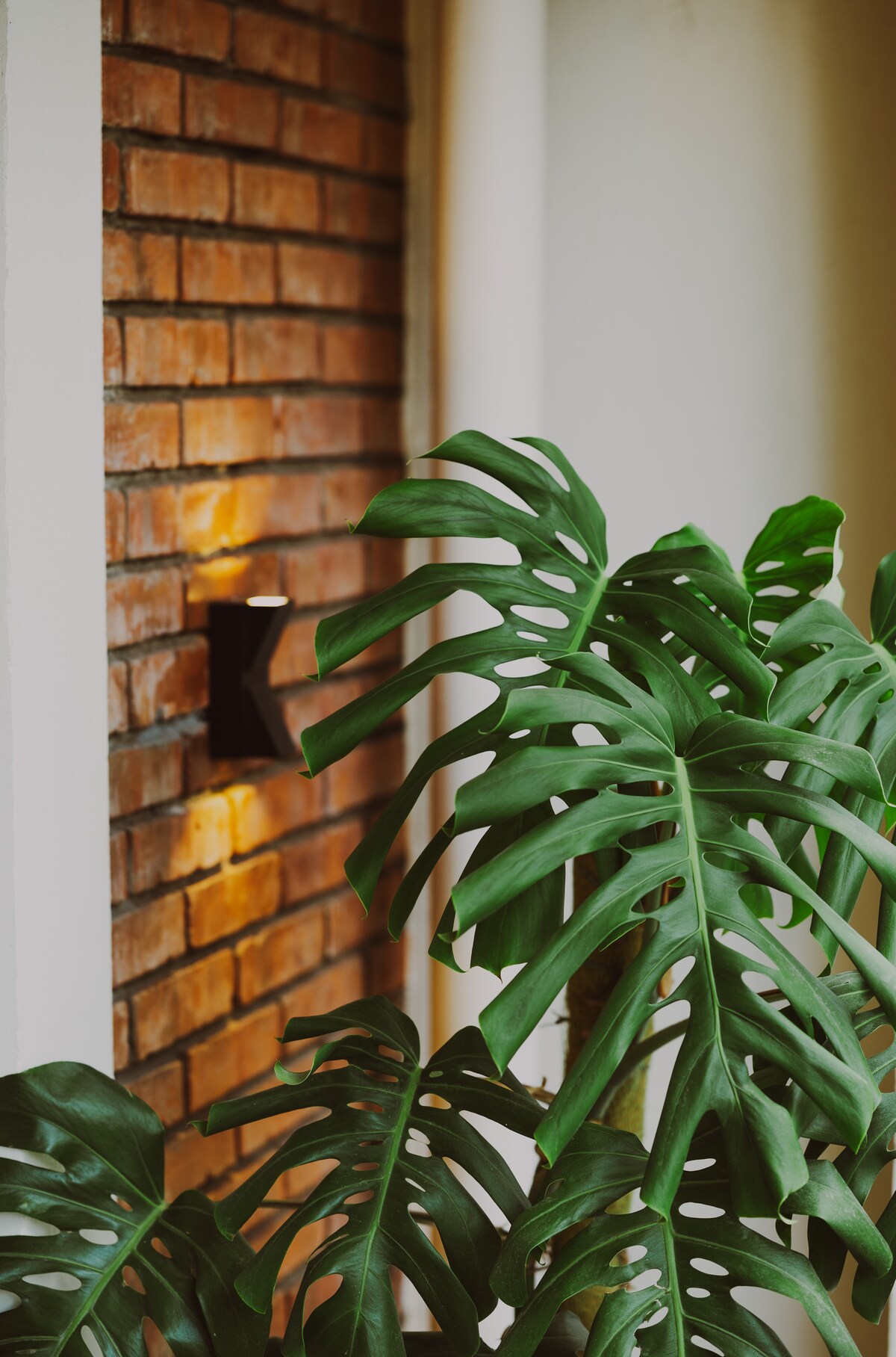 Karnali Room at Karwaan Bed and Breakfast — photo