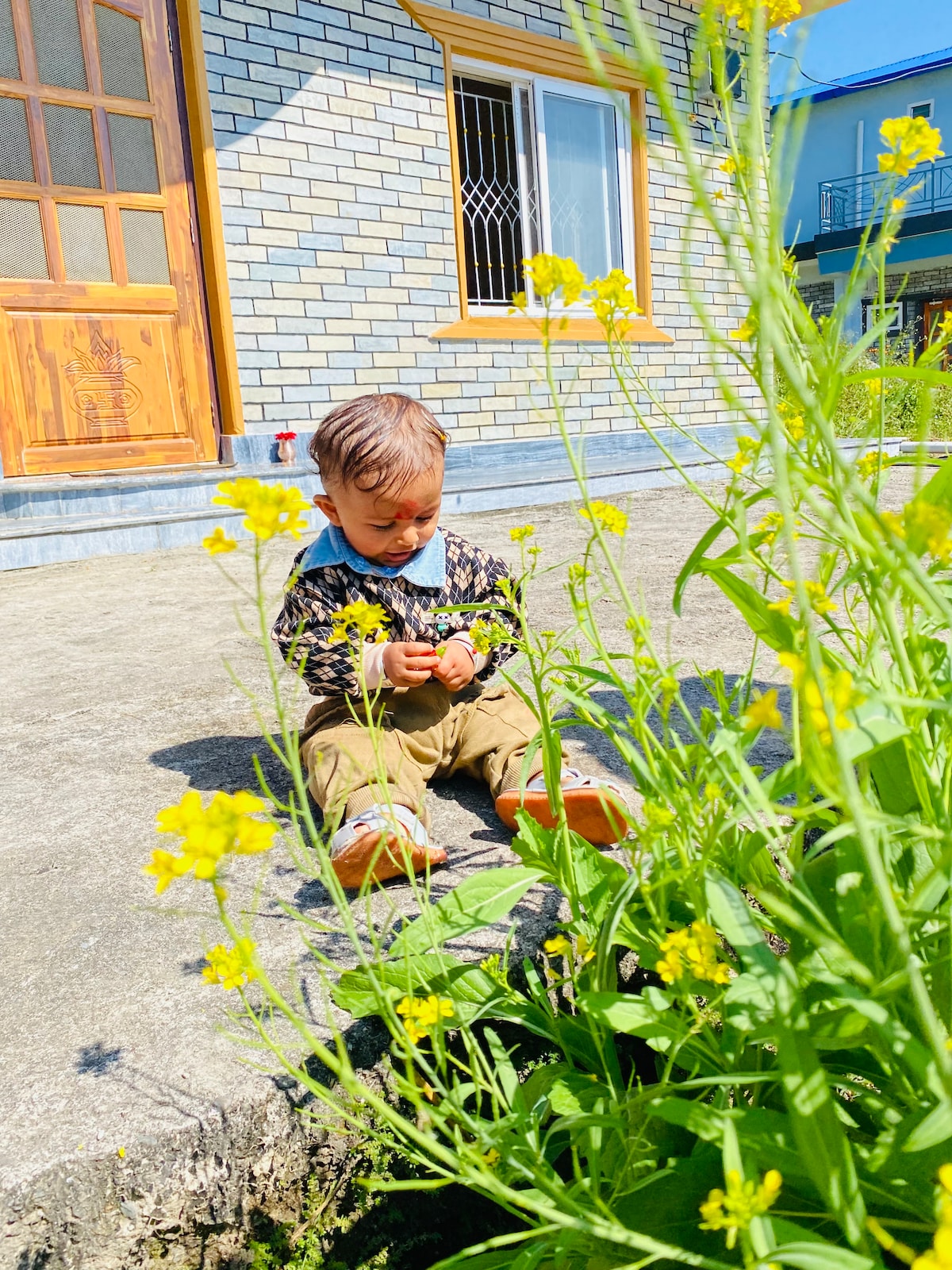 Jungle Side Homestay — photo