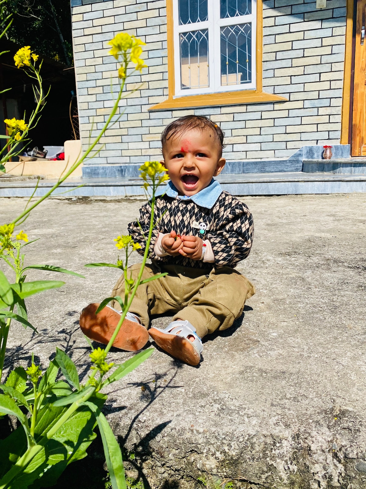 Jungle Side Homestay — photo