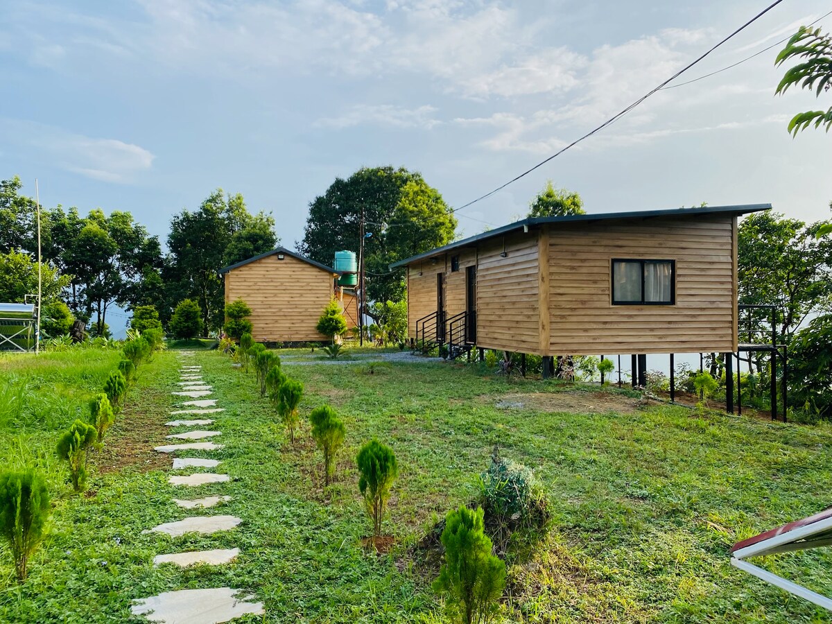 Disconnect from the city and reconnect with nature — photo