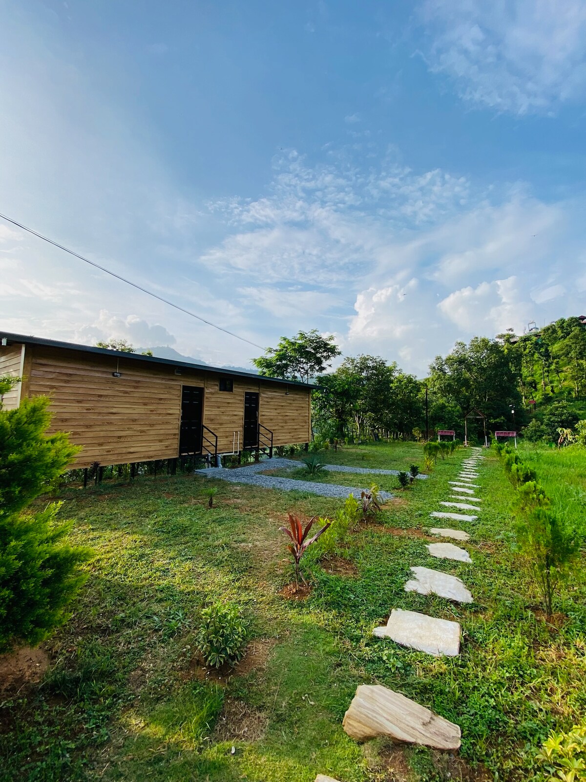 Disconnect from the city and reconnect with nature — photo