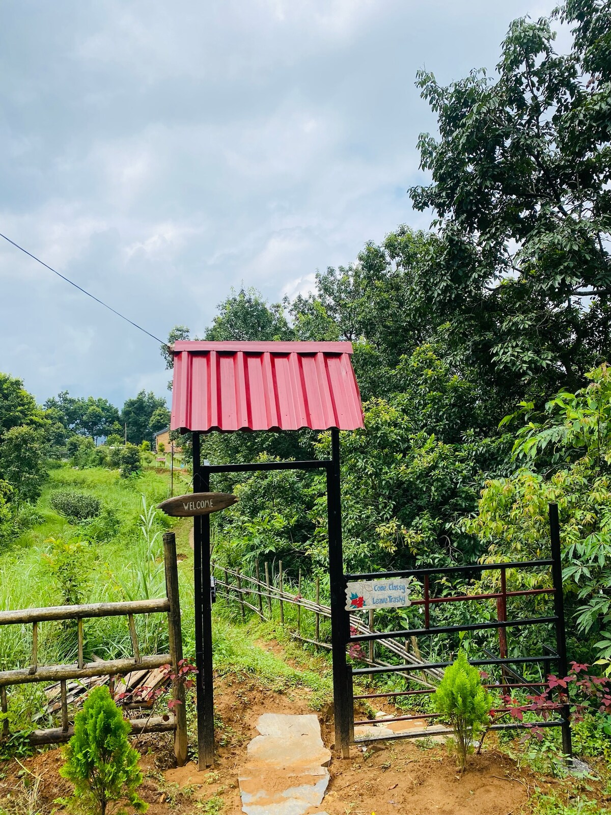 Disconnect from the city and reconnect with nature — photo