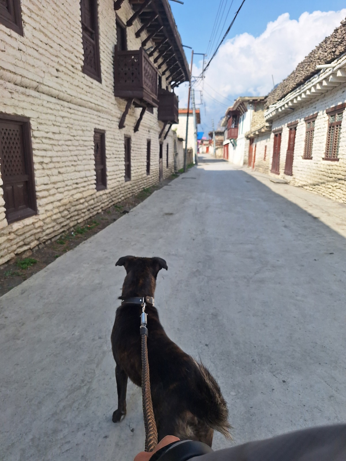 experience pokhara and beyond — photo