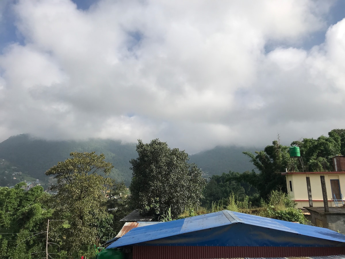 Family House — photo