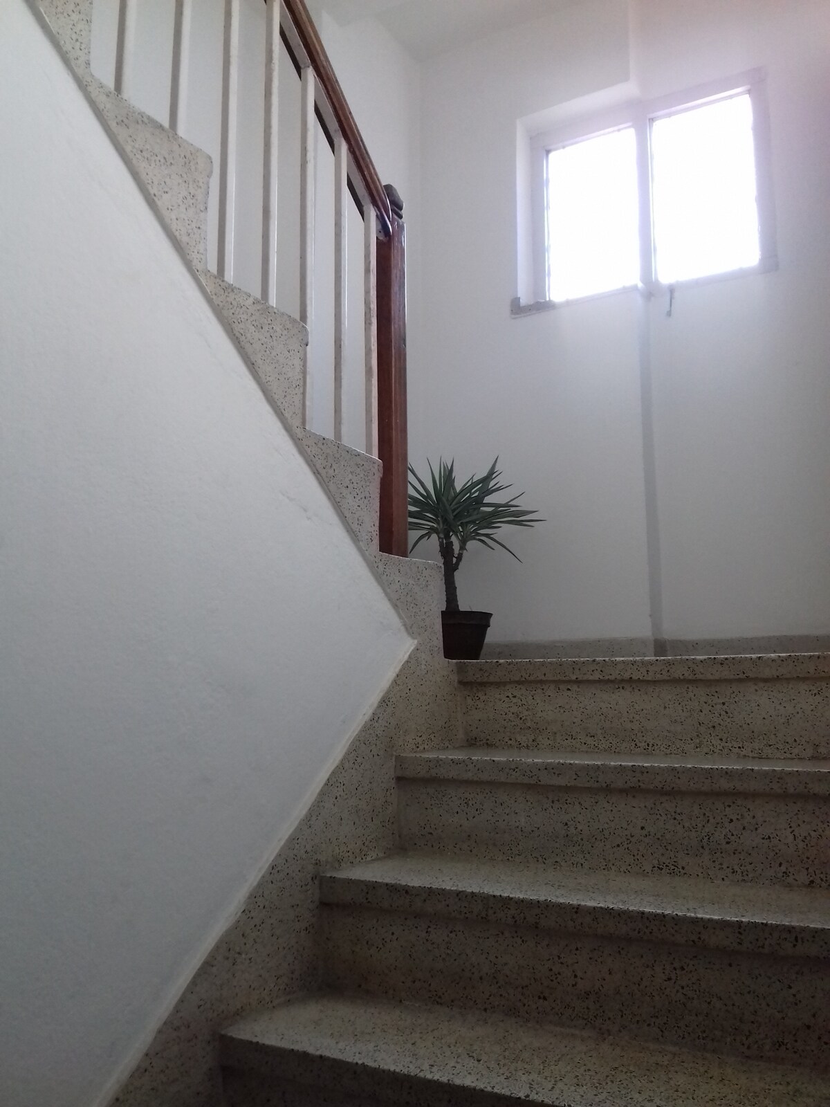 Peaceful and Homely Stay at Lazimpat!! — photo