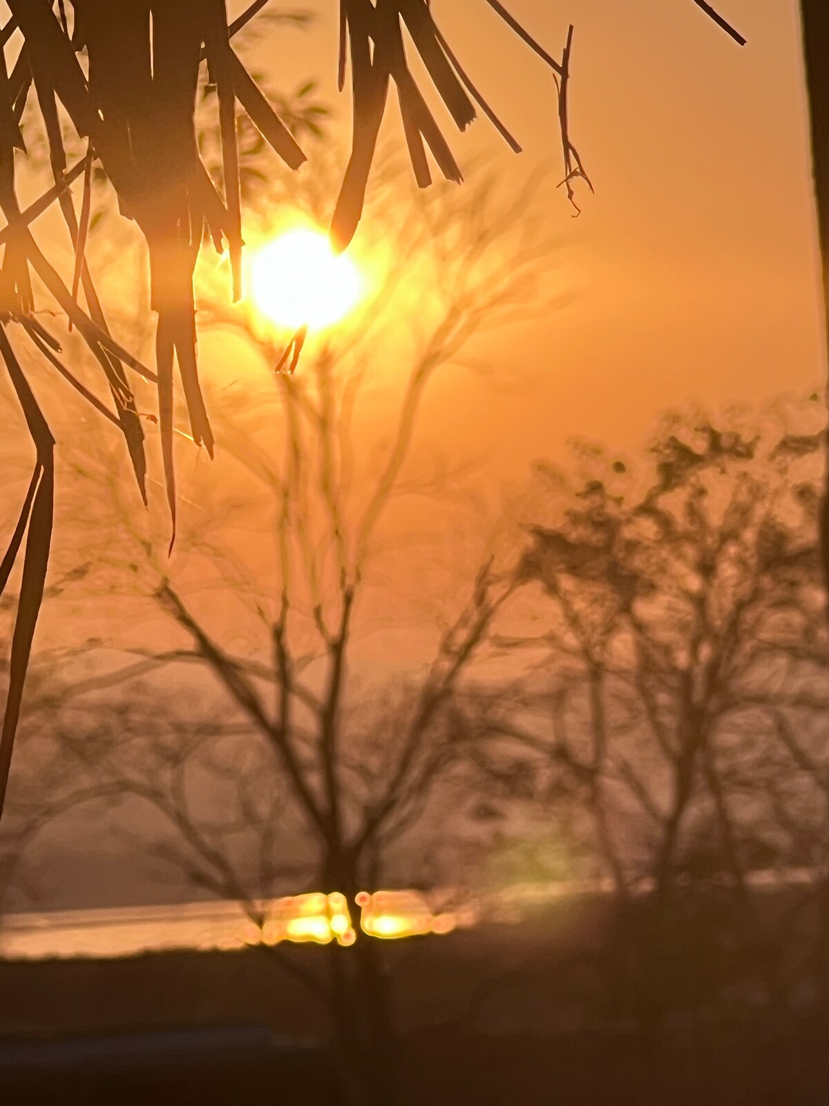 Swiss Home Chitwan — photo