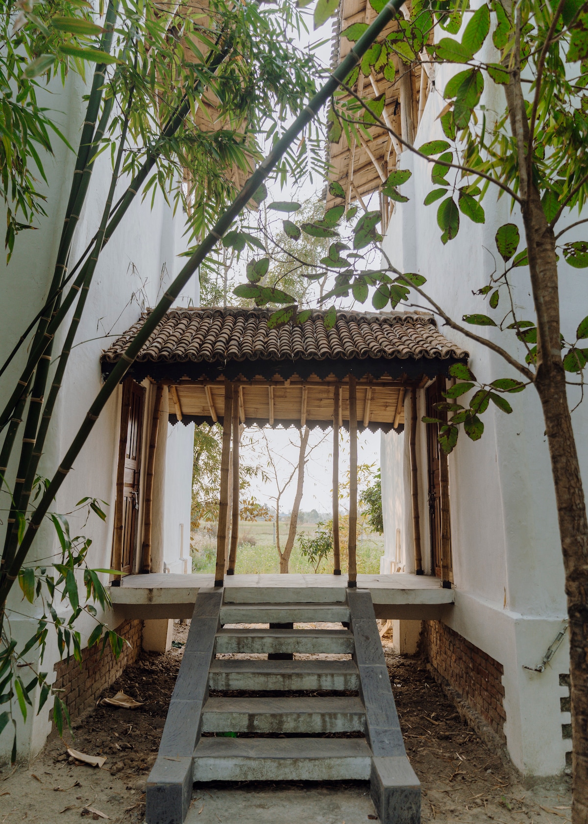 Eco-luxury in Chitwan : Venuvana — photo