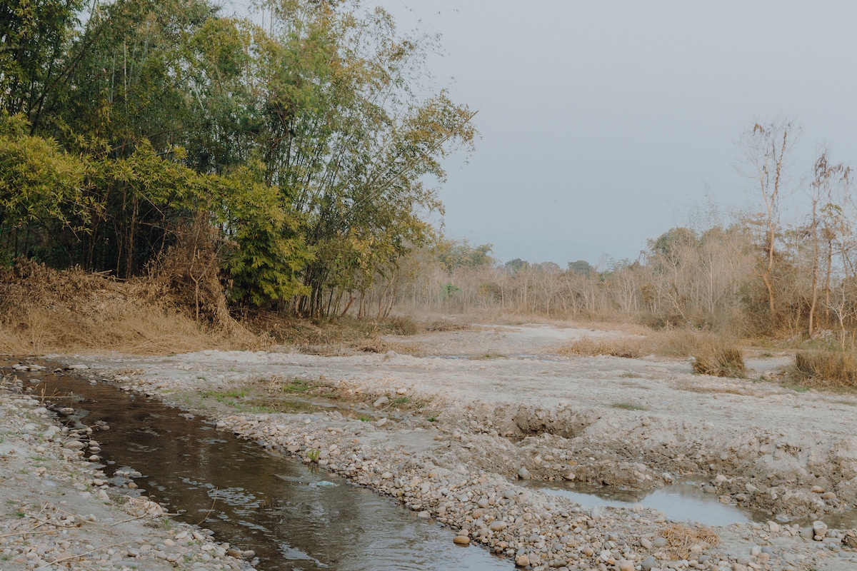 Eco-luxury in Chitwan : Venuvana — photo