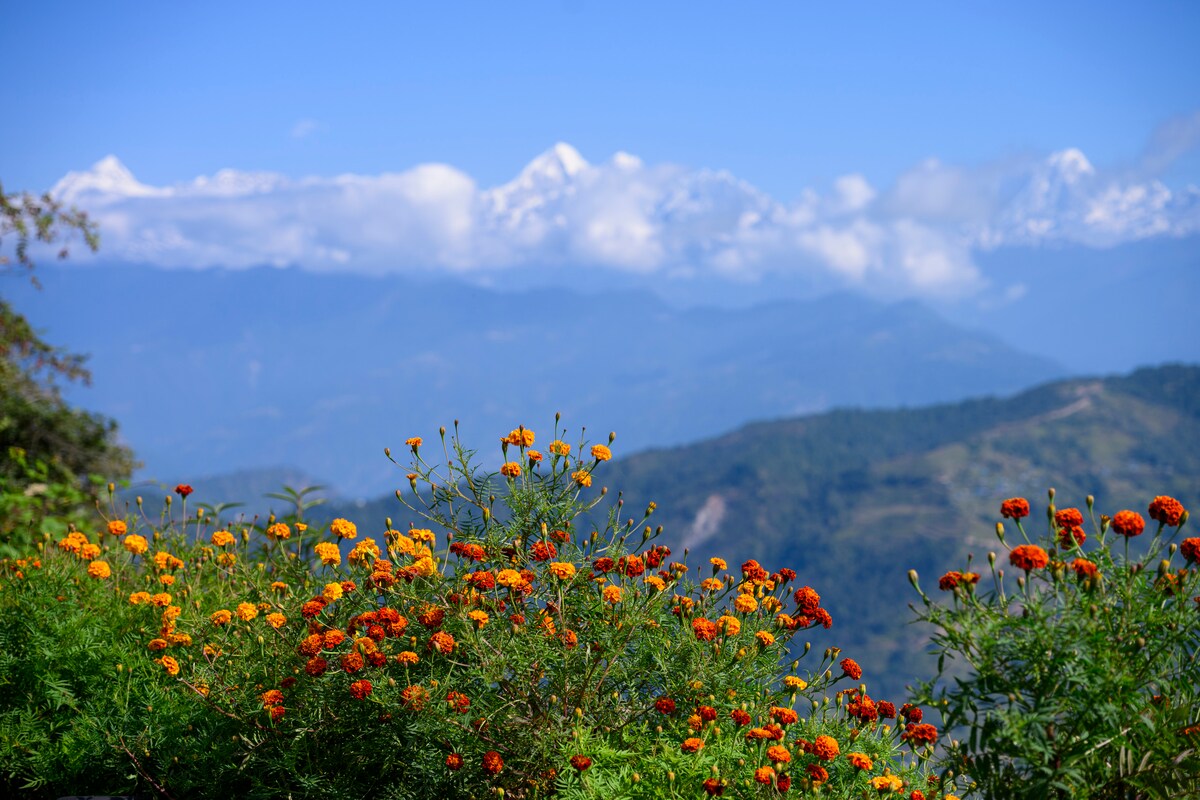 Prakriti Resort and Organic Farm — photo