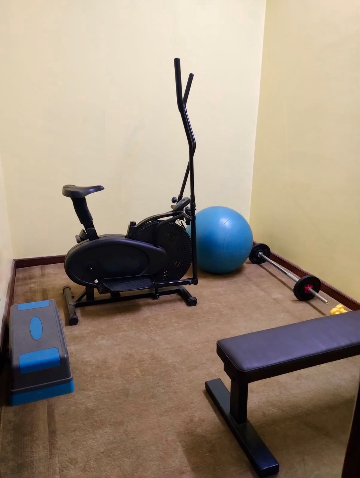 Master Suite in Maharajgunj|Balcony+ Private Gym — photo