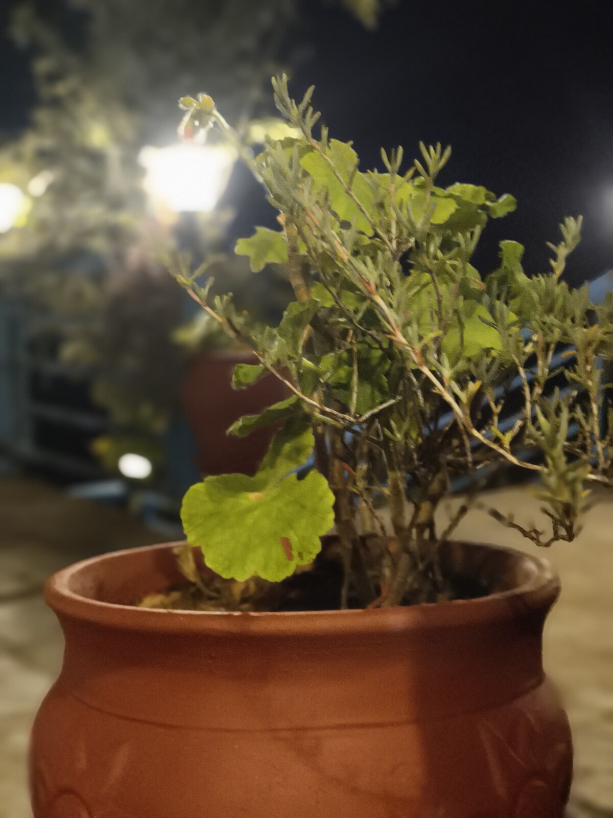 Arrive as a guests and leave like friends — photo