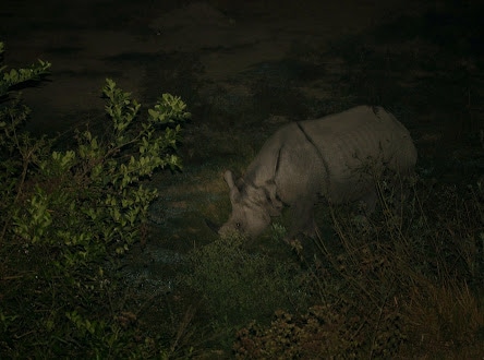 Ghumtee Riviera Resort Bharatpur Chitwan